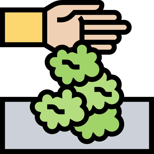 Weed weed addiction nature icon Weed weed addiction nature icon