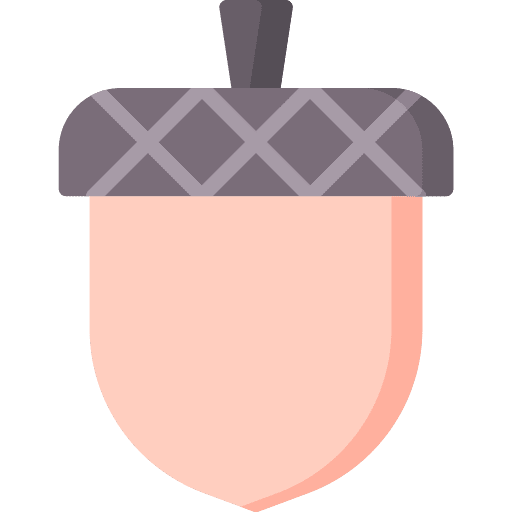 Acorn vegan food and restaurant nature icon