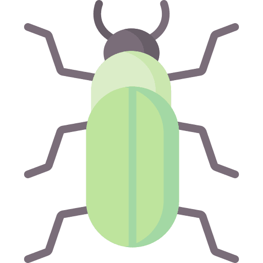 Beetle fauna beetle insect icon Beetle fauna beetle insect icon