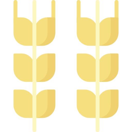 Wheat branch grain rice icon Wheat branch grain rice icon