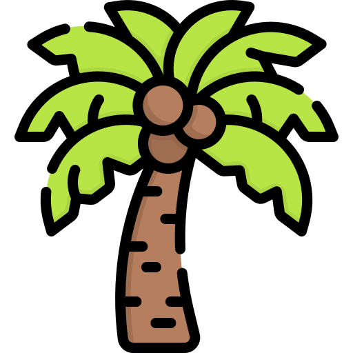 Coconut tree botanical coconut tree palm tree icon