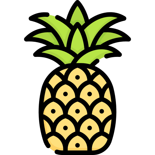 Pineapple diet organic pineapple icon