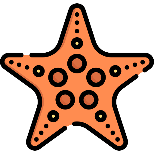 Starfish sea life aquarium invertebrate icon Starfish sea life aquarium invertebrate icon