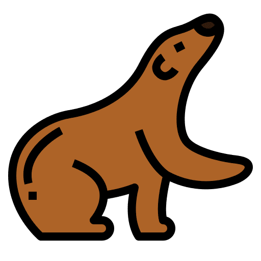 Bear mammal animals bear icon