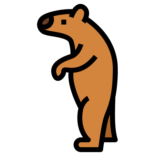 Bear animal animals zoo icon Bear animal animals zoo icon