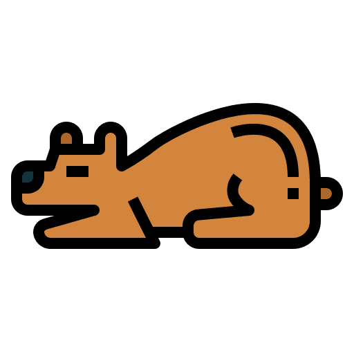 Bear animals animal bear icon Bear animals animal bear icon