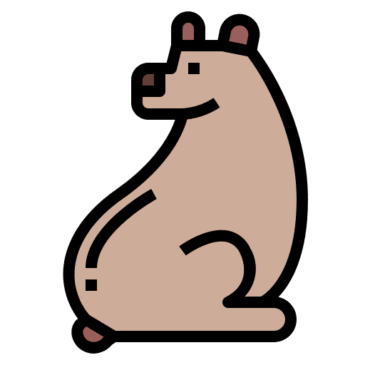 Bear mammal animal zoo icon Bear mammal animal zoo icon