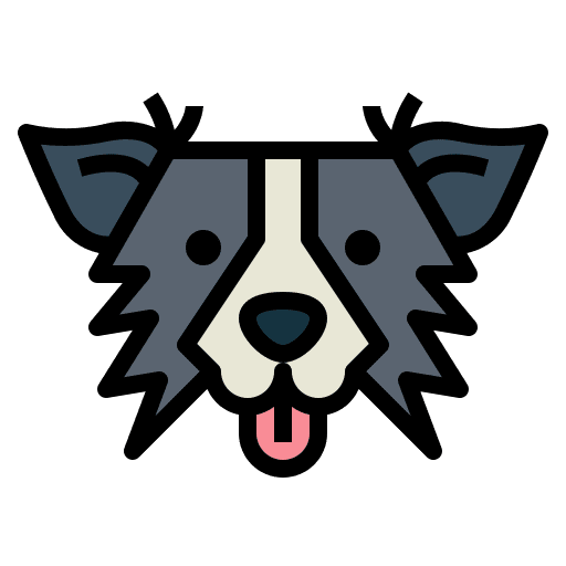 Border collie mammal dog animals icon Border collie mammal dog animals icon