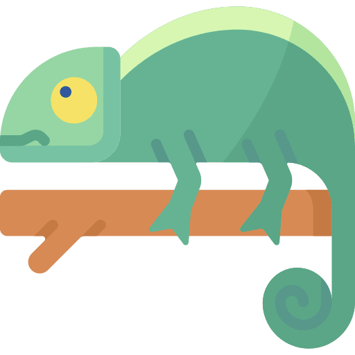 Chameleon animal chameleon animal kingdom icon