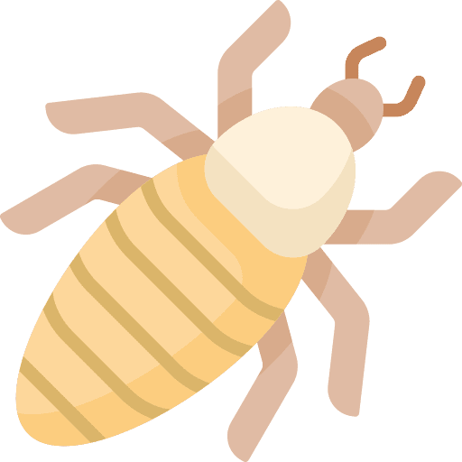 Lice insect animals hair icon