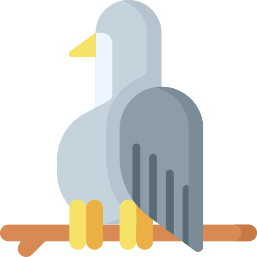 Bird bird animal kingdom zoo icon Bird bird animal kingdom zoo icon