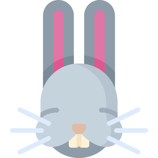 Rabbit rabbit animal kingdom zoology icon Rabbit rabbit animal kingdom zoology icon