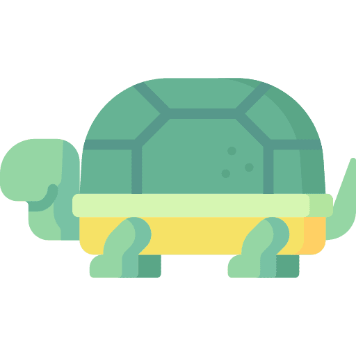 Turtle aquarium wild life animal kingdom icon Turtle aquarium wild life animal kingdom icon