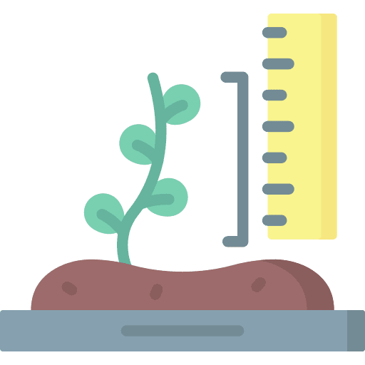 Size plant size ruler icon