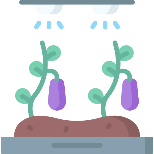 Vegetable eggplant vegetable agriculture icon