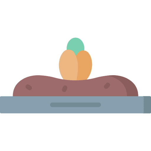 Seed agriculture farming and gardening plant icon Seed agriculture farming and gardening plant icon