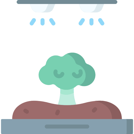 Vegetable greenhouse lamp broccoli icon Vegetable greenhouse lamp broccoli icon