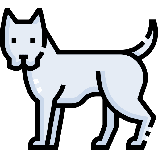 Dogo argentino dogo argentino mammal dog icon