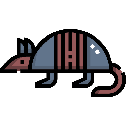 Armadillo animal kingdom wild life zoo icon Armadillo animal kingdom wild life zoo icon