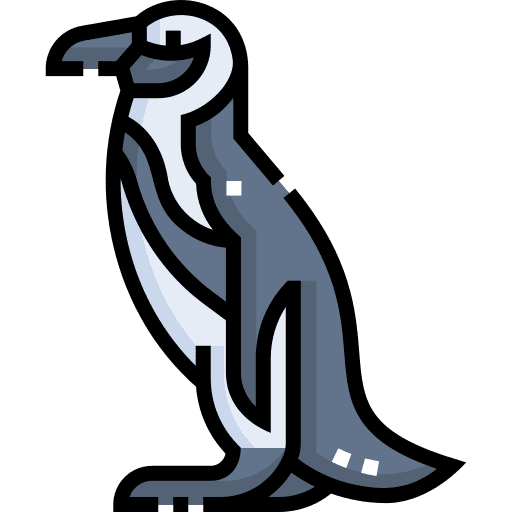 Penguin animal bird animals icon Penguin animal bird animals icon