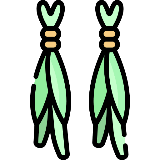 Calamus plant nature icon Calamus plant nature icon