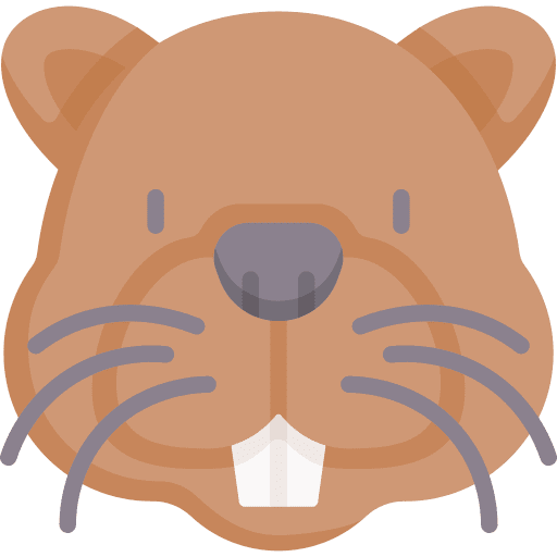 Beaver wild zoo mammal icon