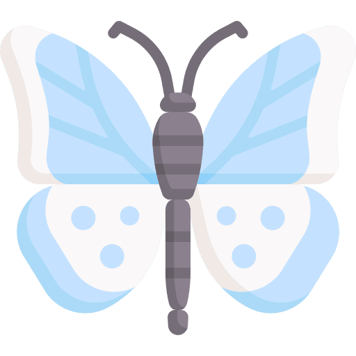 Butterfly animals animal kingdom entomology icon Butterfly animals animal kingdom entomology icon