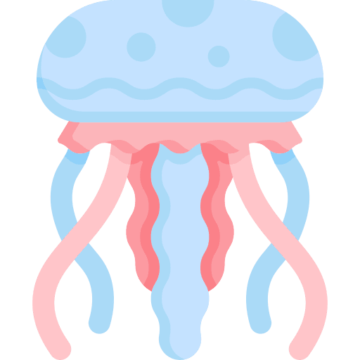 Jellyfish animal kingdom animals marine icon