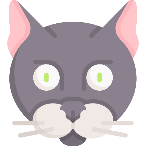 Cat pet bottle cats pet icon Cat pet bottle cats pet icon