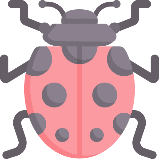 Ladybug entomology wildlife animal kingdom icon Ladybug entomology wildlife animal kingdom icon