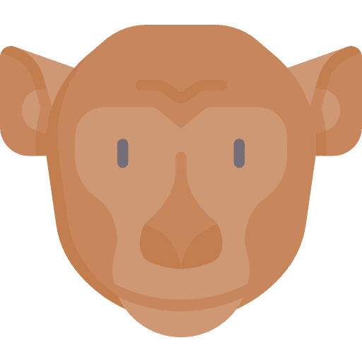Monkey animal kingdom animals mammal icon Monkey animal kingdom animals mammal icon