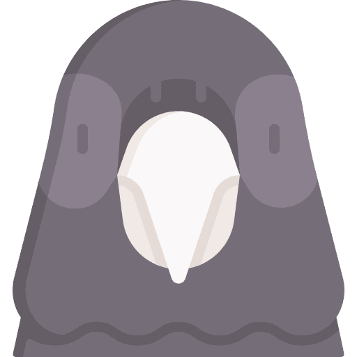 Pigeon ornithology bird zoology icon Pigeon ornithology bird zoology icon