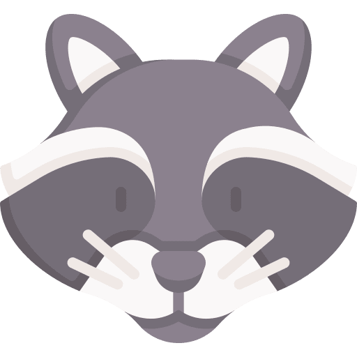 Raccoon animal wildlife wild icon Raccoon animal wildlife wild icon