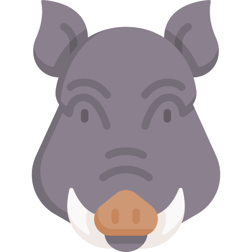 Boar animal savage wild icon Boar animal savage wild icon
