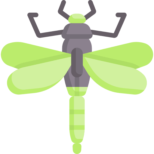 Dragonfly dragonfly animal kingdom insect icon Dragonfly dragonfly animal kingdom insect icon