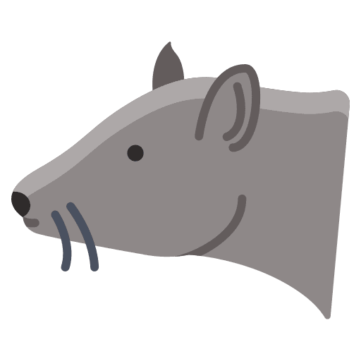 Rat wildlife animals mouse icon Rat wildlife animals mouse icon