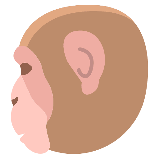 Monkey wildlife zoo monkey icon Monkey wildlife zoo monkey icon