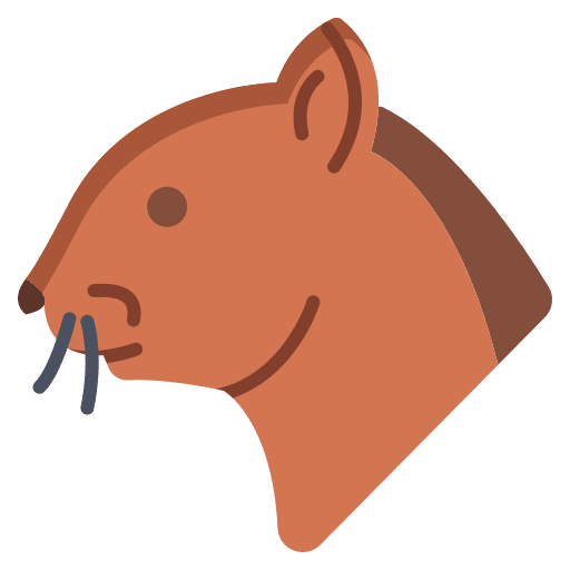 Squirrel zoo animals wildlife icon Squirrel zoo animals wildlife icon