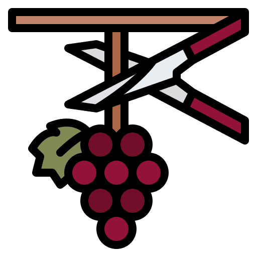 Harvesting wine harvest agriculture icon Harvesting wine harvest agriculture icon