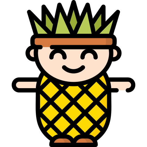 Pineapple user people caucasian icon Pineapple user people caucasian icon