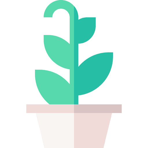 Growth eco friendly plant sprout icon Growth eco friendly plant sprout icon