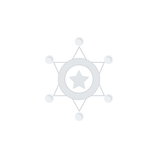 Medal award medal security icon