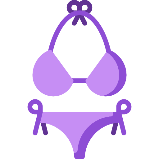 Bikini bikini clothes femenine icon