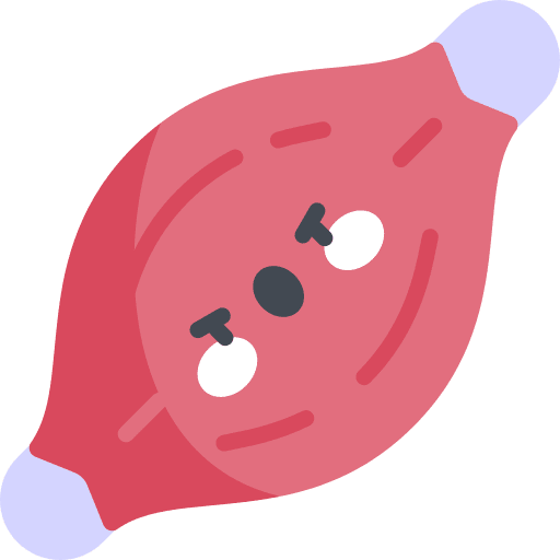 Muscle arm muscles body parts icon