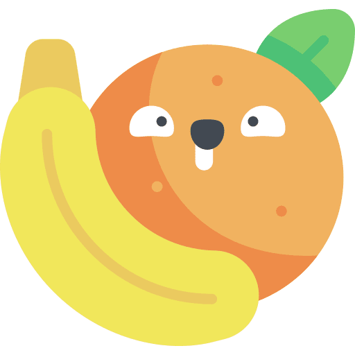 Nutrition orange nutrition fruits icon Nutrition orange nutrition fruits icon