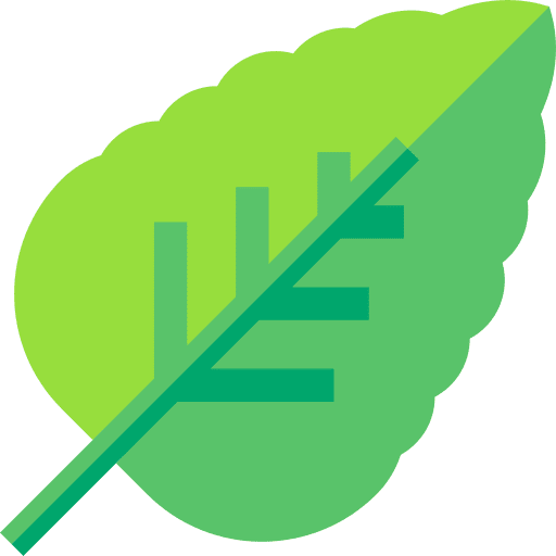 Mint mint leaf peppermint icon