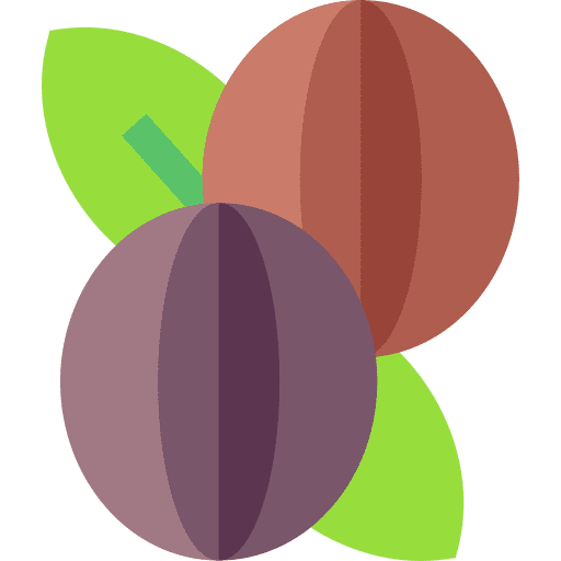 Shea butter organic nature shea butter icon