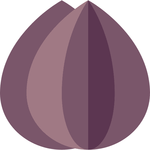 Almond almond vegetarian dried fruit icon Almond almond vegetarian dried fruit icon