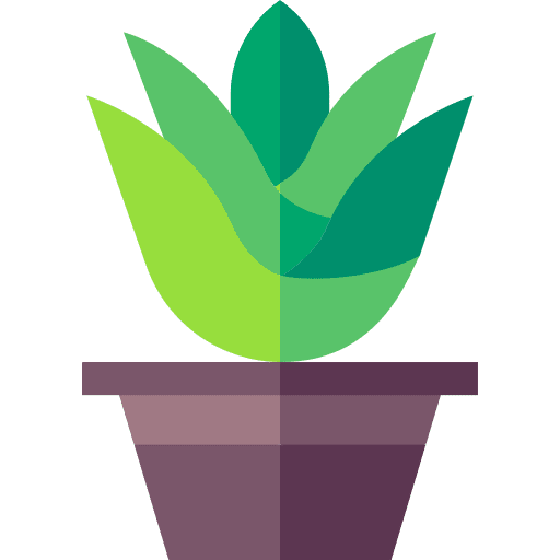 Aloe vera plant farming and gardening nature icon Aloe vera plant farming and gardening nature icon