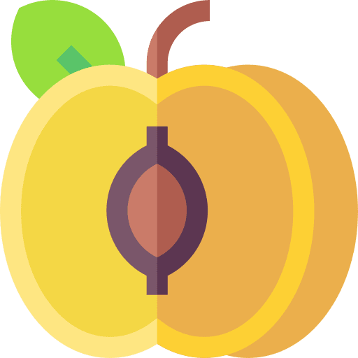 Apricot organic apricot vegan icon Apricot organic apricot vegan icon